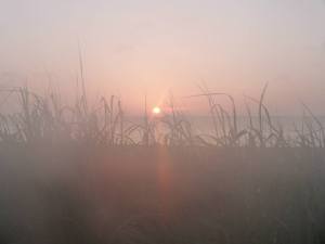 1004055_708348227638_1070552165_n