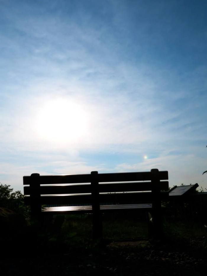 1010751_705164353148_1168962874_n