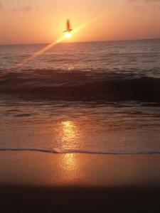 1010996_708348327438_279951396_n