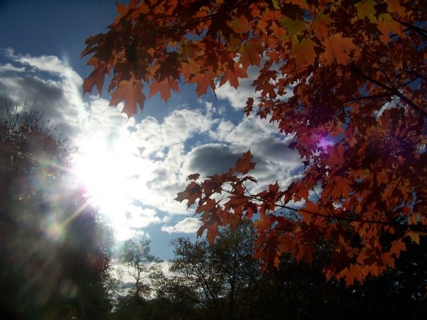 10400255_516176401518_6625_n