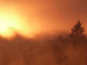 10402854_779721500028_2826291499619860789_n