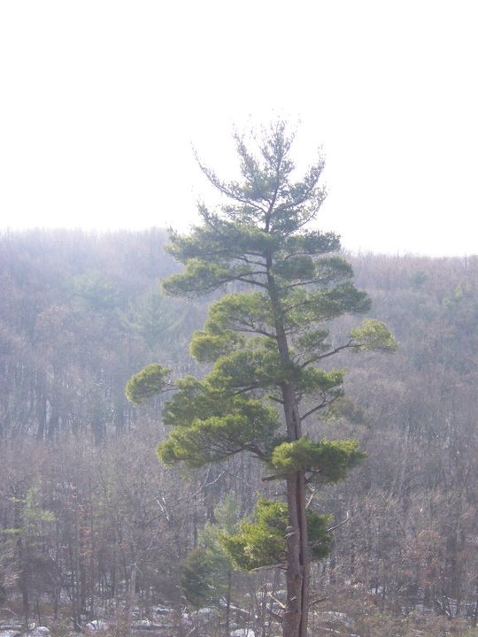 156657_548505249248_1562562_n