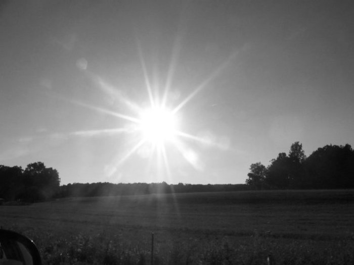 180032_551972036778_2308234_n