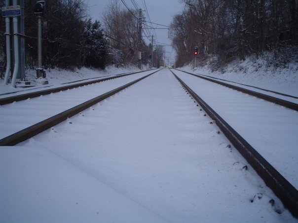 1923291_504658827828_9992_n