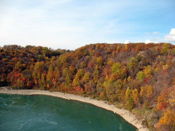 1923403_506457373528_7279_n