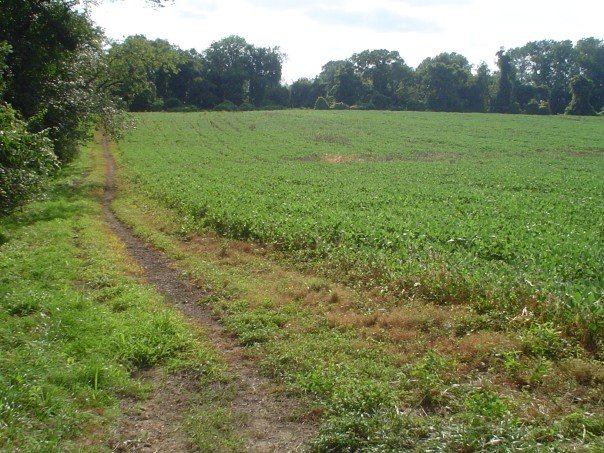 225277_504658738008_9508_n