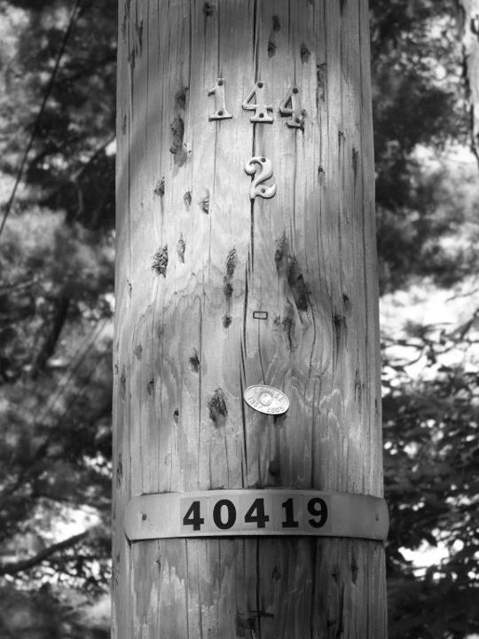 285469_582453406868_3418023_n