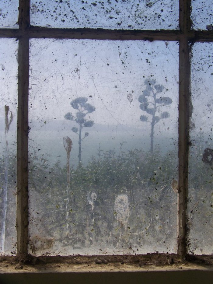 307896_585134289358_5436522_n