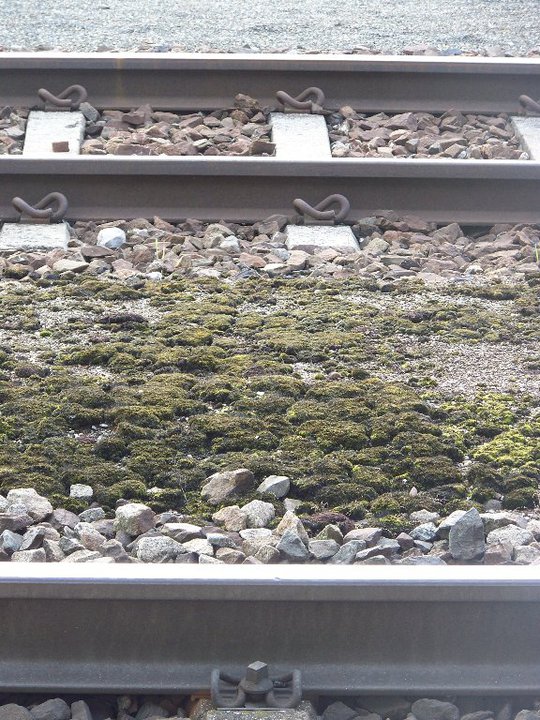 35249_540441044978_3257230_n