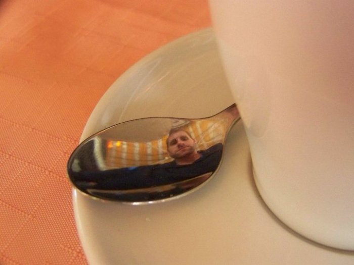 37815_540440306458_1724942_n