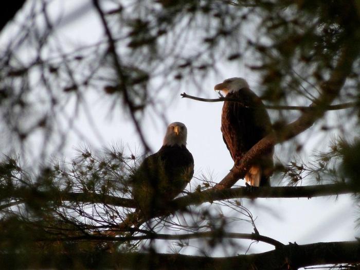 546184_637042963958_1403577569_n