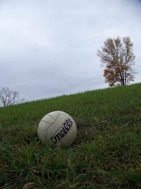 65990_545257343078_919914_n