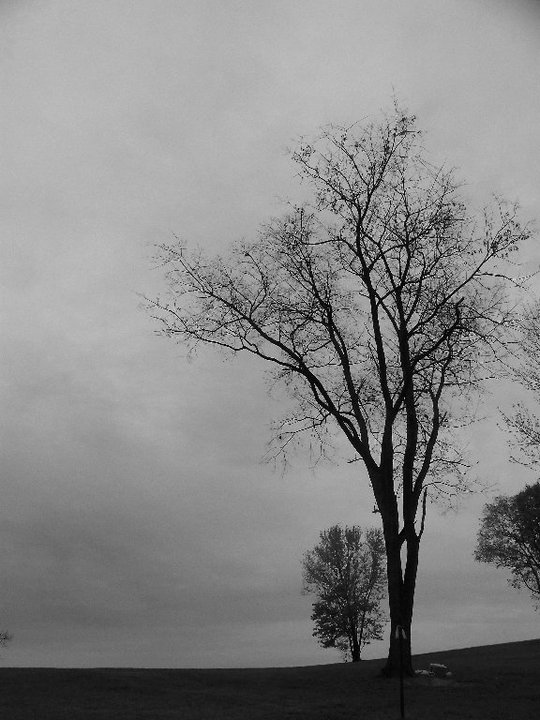 67447_545257378008_7238901_n