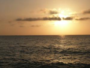 954719_708348457178_1191066252_n