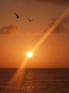 969317_708348367358_939829145_n