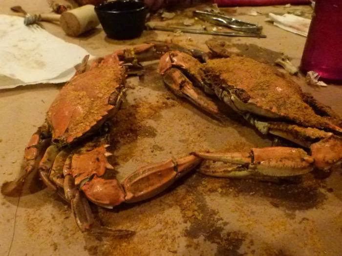 998352_708343841428_1840493434_n